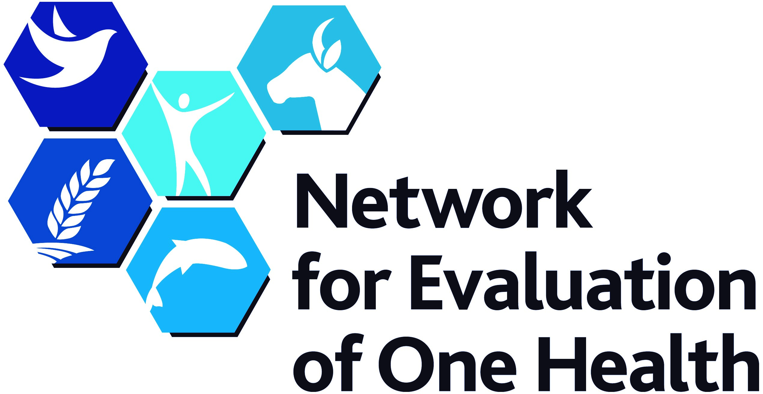 Network for Evaluation of One Health