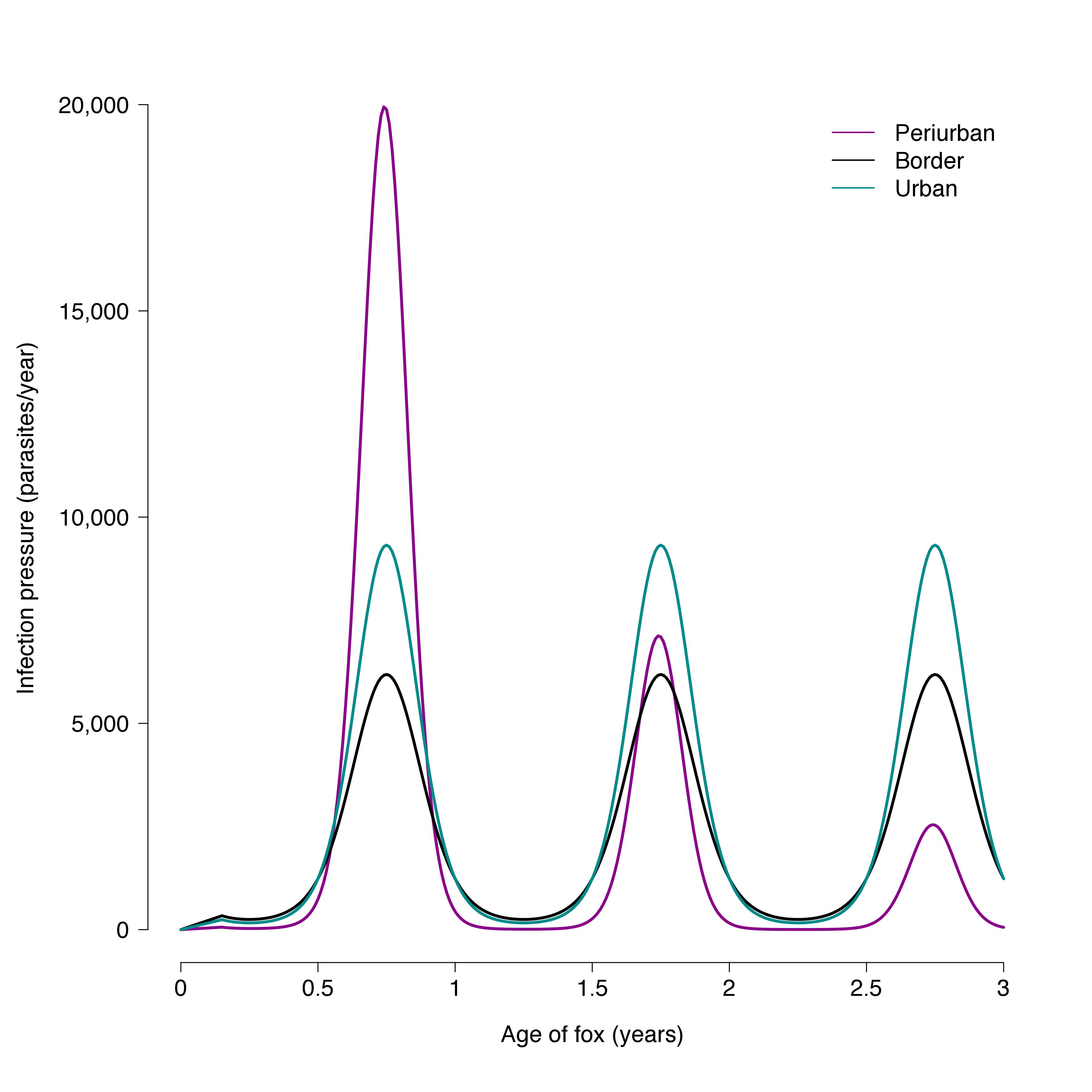 Infection Dynamics